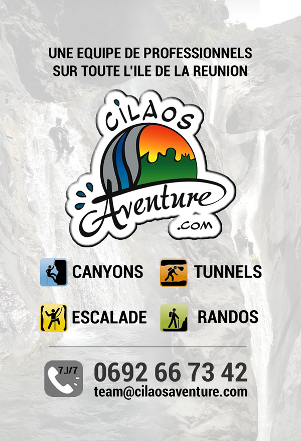 Carte visite