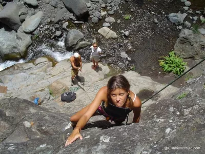 37-Fleur-Jaune-Falaise-Escalade-La-Reunion.webp