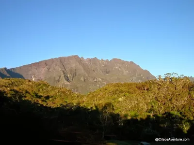 01-La-Forêt-Primaire-de-Bélouve-Randonnee-La-Reunion.webp