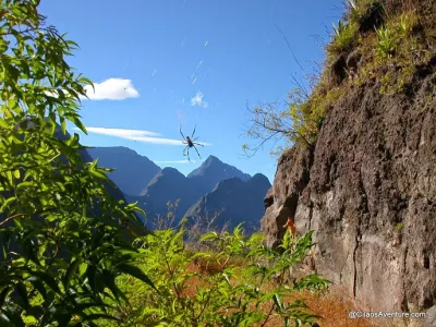 DSCN1079.webp