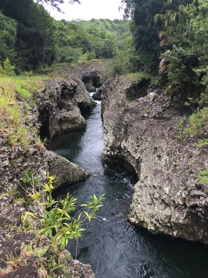 Rivière des Roches : Rando Aquatique Famille à La Réunion