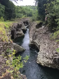 Rivière des Roches : Rando Aquatique Famille à La Réunion