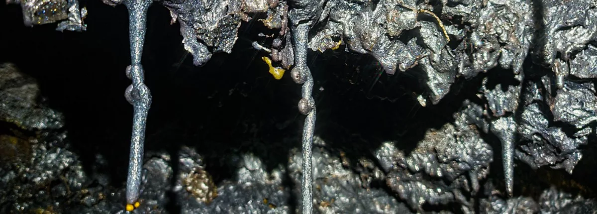 Canyoning Réunion : Discovery lava tunnels - 2004 à La Réunion
